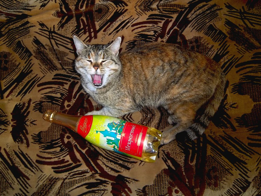 Photograph by Татьяна Королёва