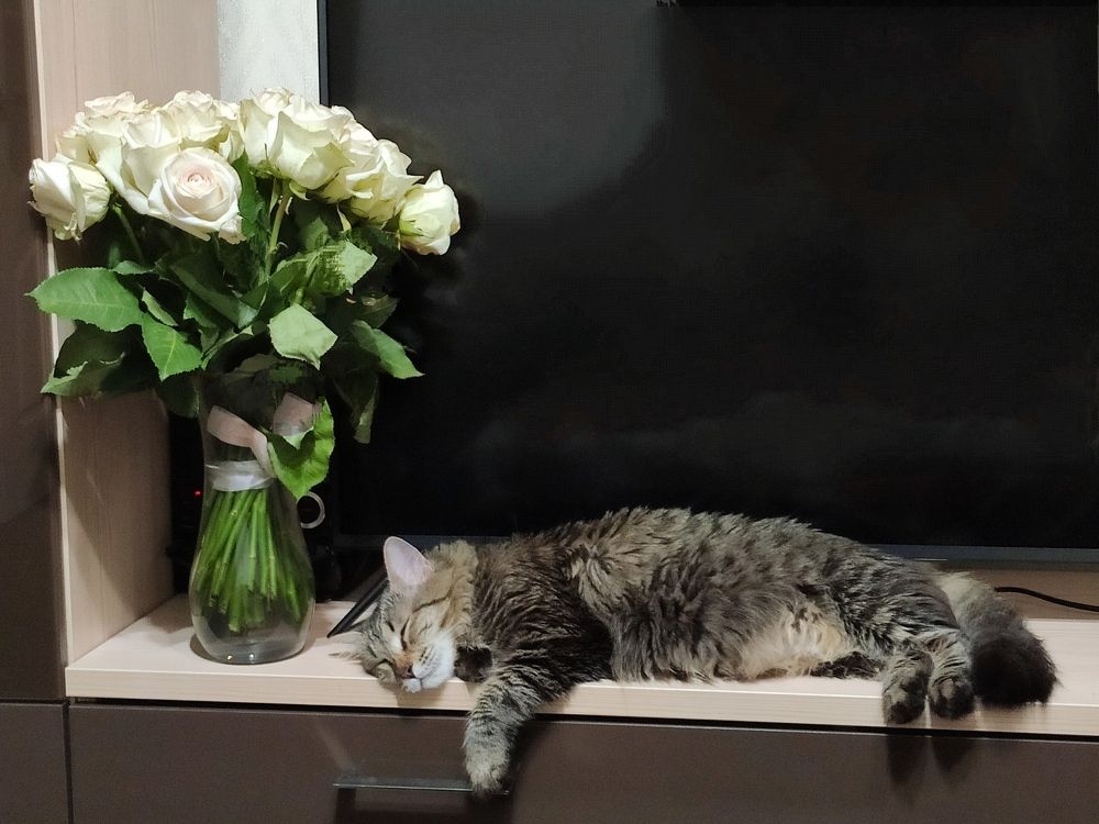 Photograph by Светлана Полякова