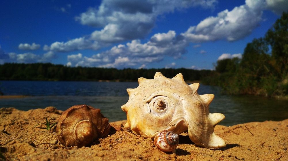 Photograph by Вадим Кумпяк