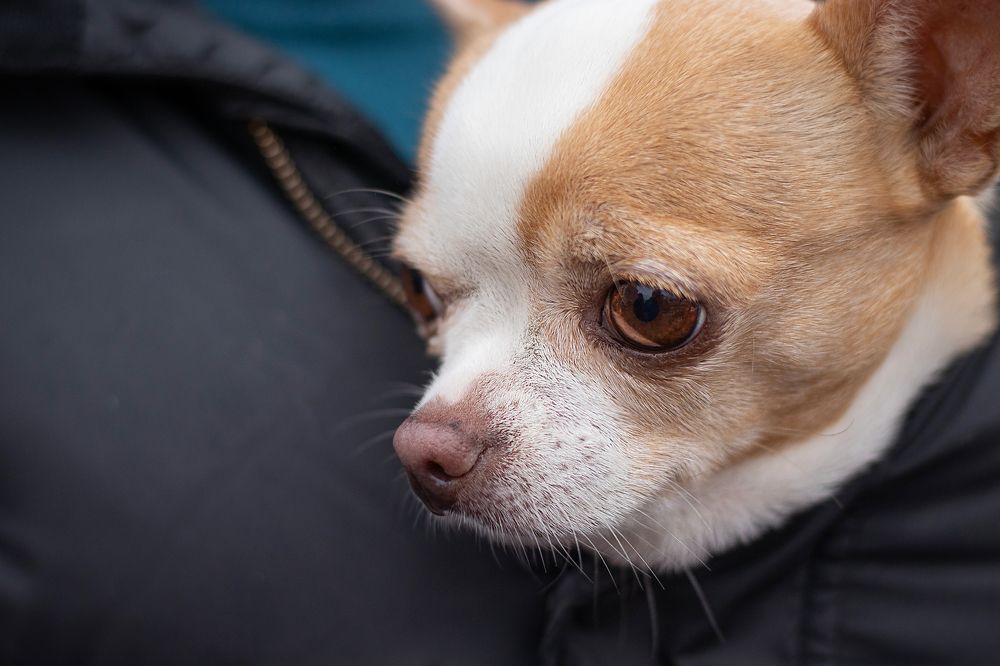 Photograph by Виктория Козинец