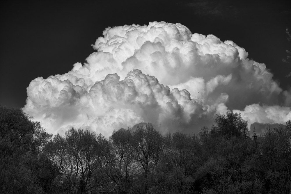 Photograph by Виталий Андросов