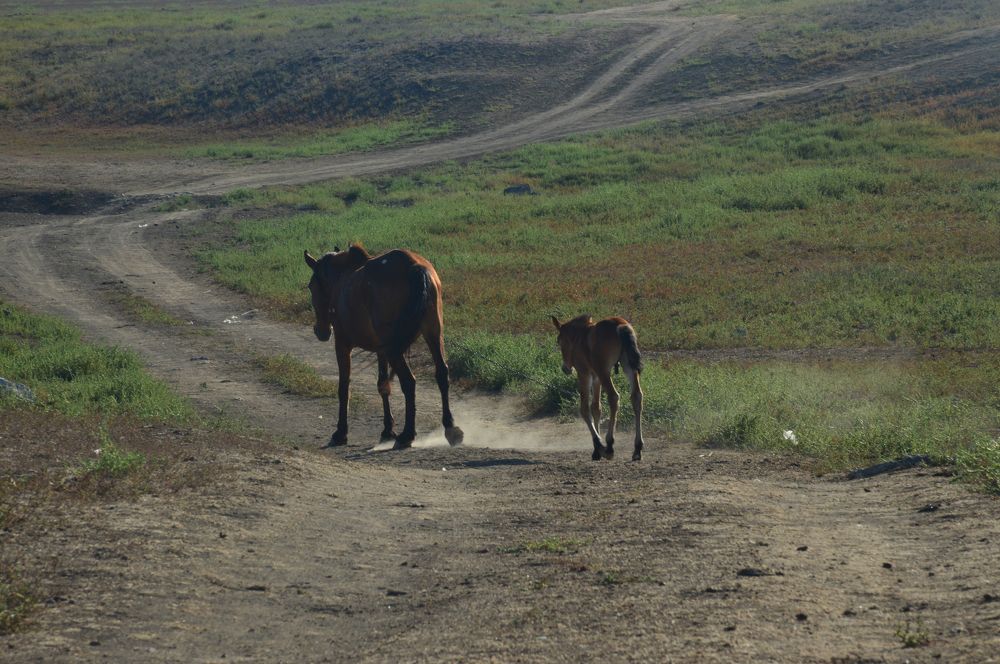 Дорогами Крыма.