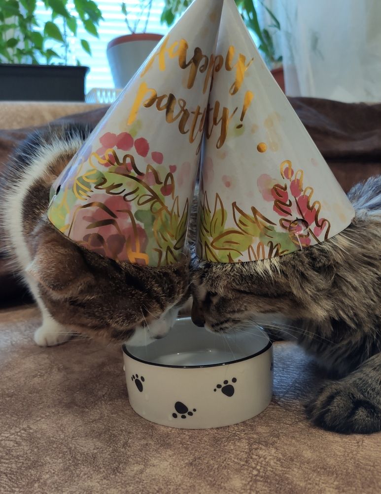 Photograph by Светлана Полякова