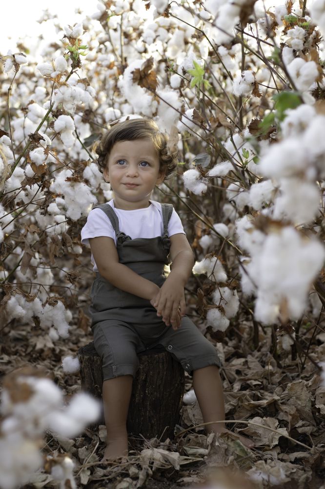В хлопковом поле