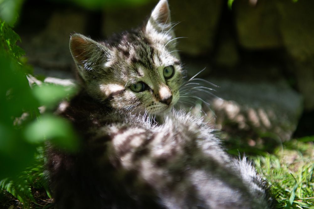 Photograph by Анастасия Ломаева