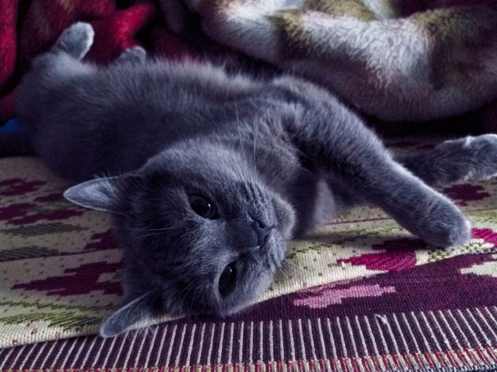 Фотография автора Оля Алехнович