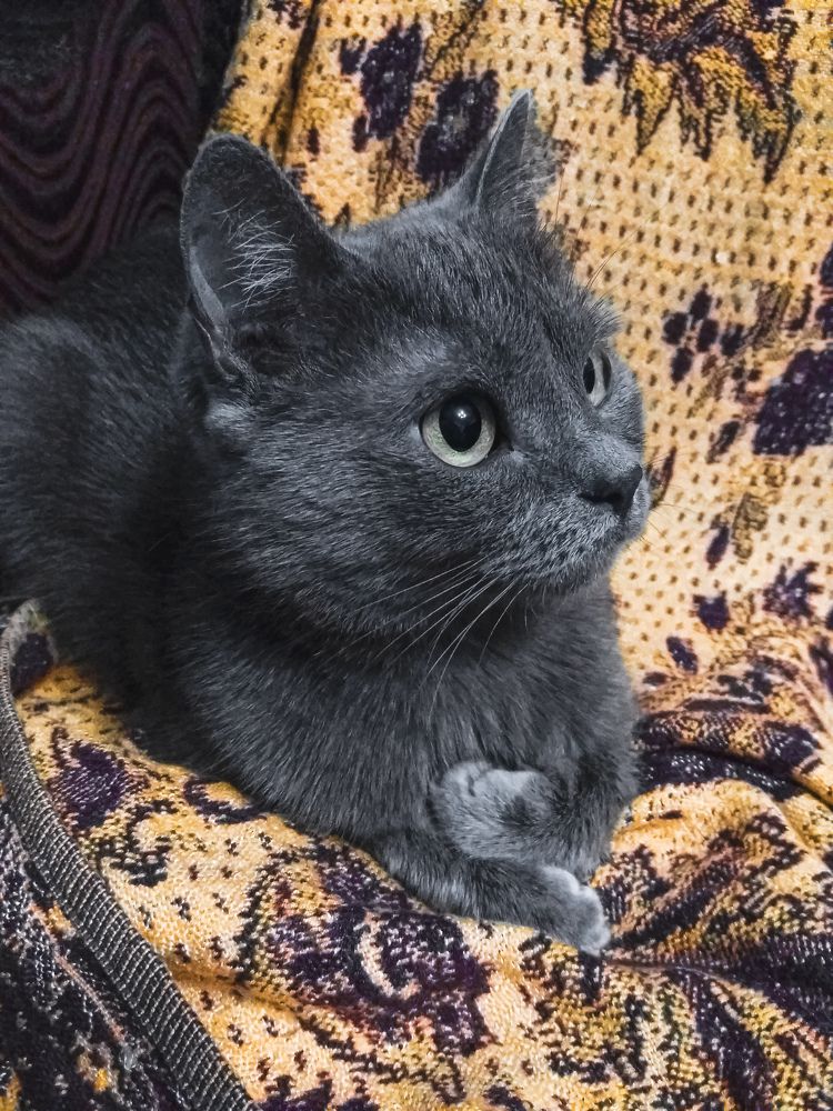 Фотография автора Оля Алехнович