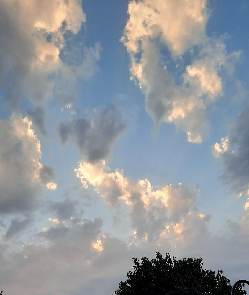 Photograph by Полина Погоняйло
