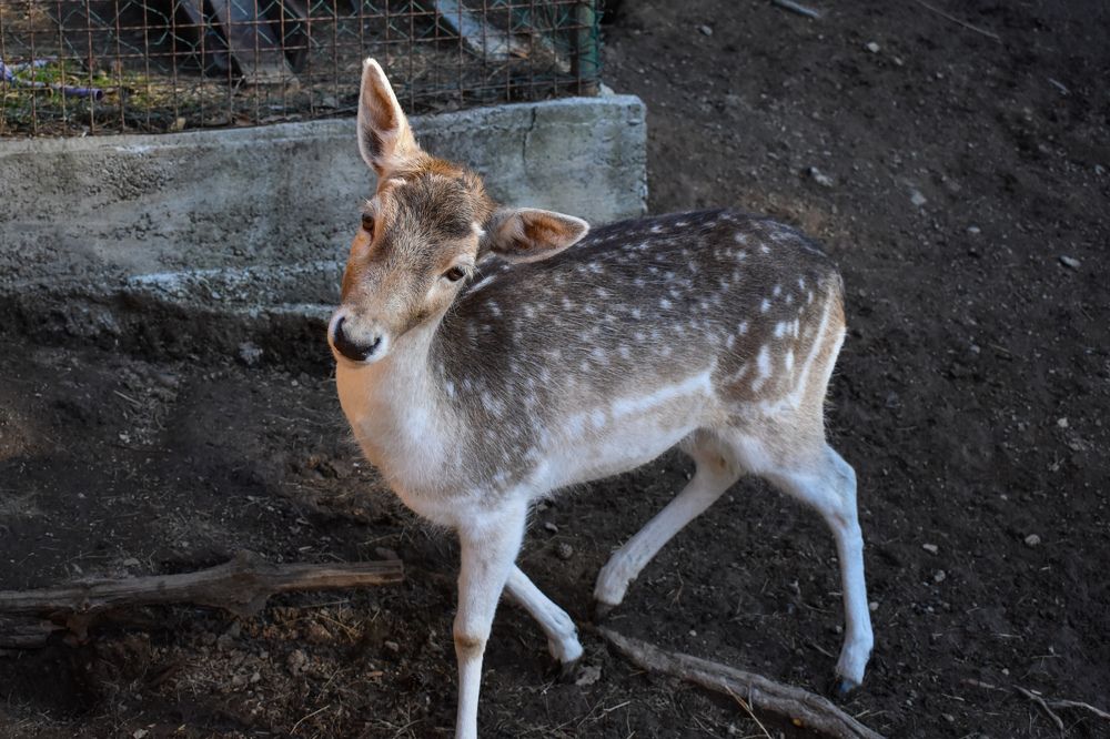 Photograph by Natasha Latinovska