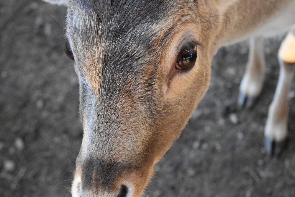 Photograph by Natasha Latinovska