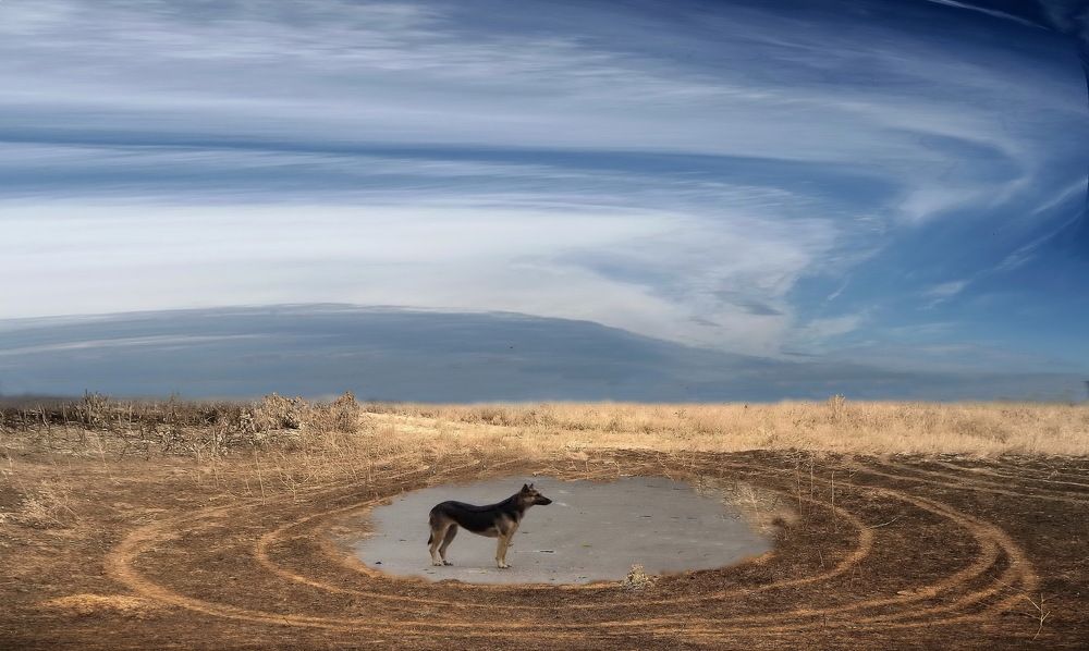 Photograph by Сергей Кошелев