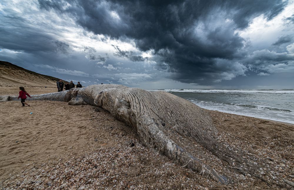 Photograph by Геннадий Кройтору