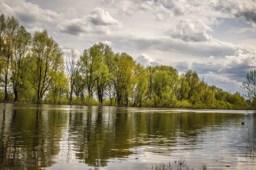 Photograph by Валерий Талейко