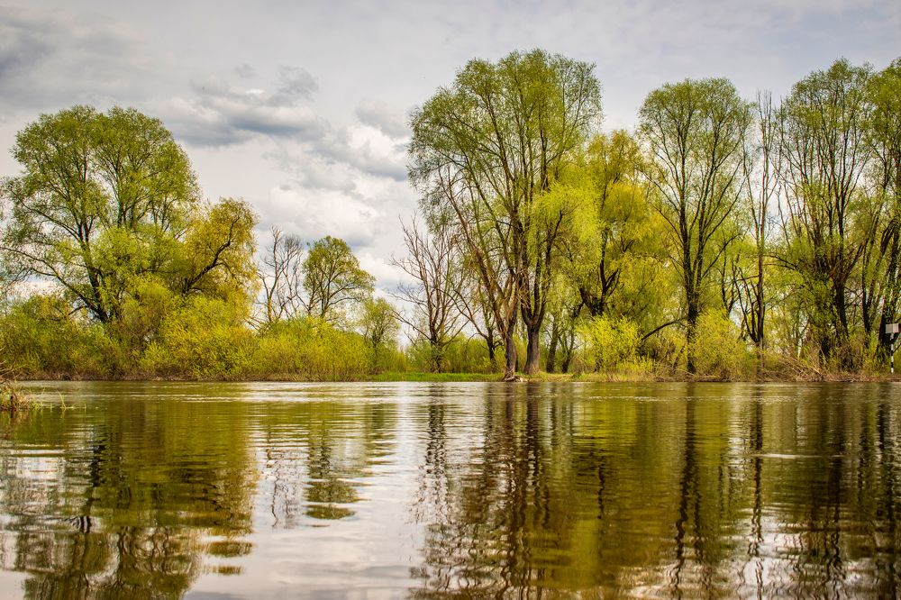 Photograph by Валерий Талейко