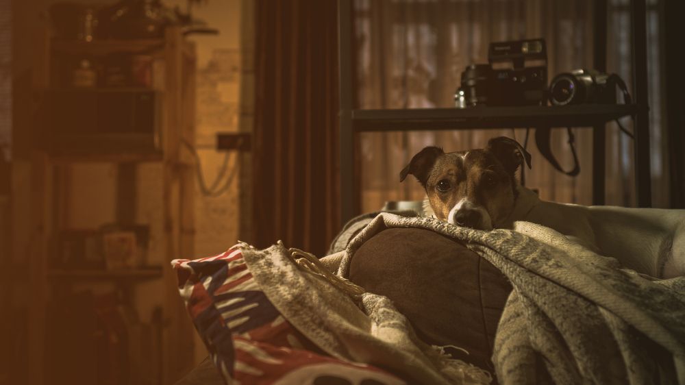 Photograph by Михаил Соболев