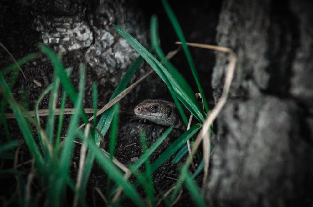 Photograph by Татьяна Холодная