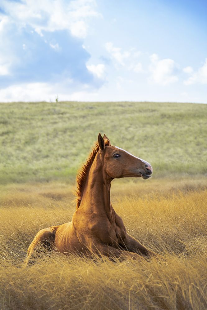 Photograph by Константин Кукушкин