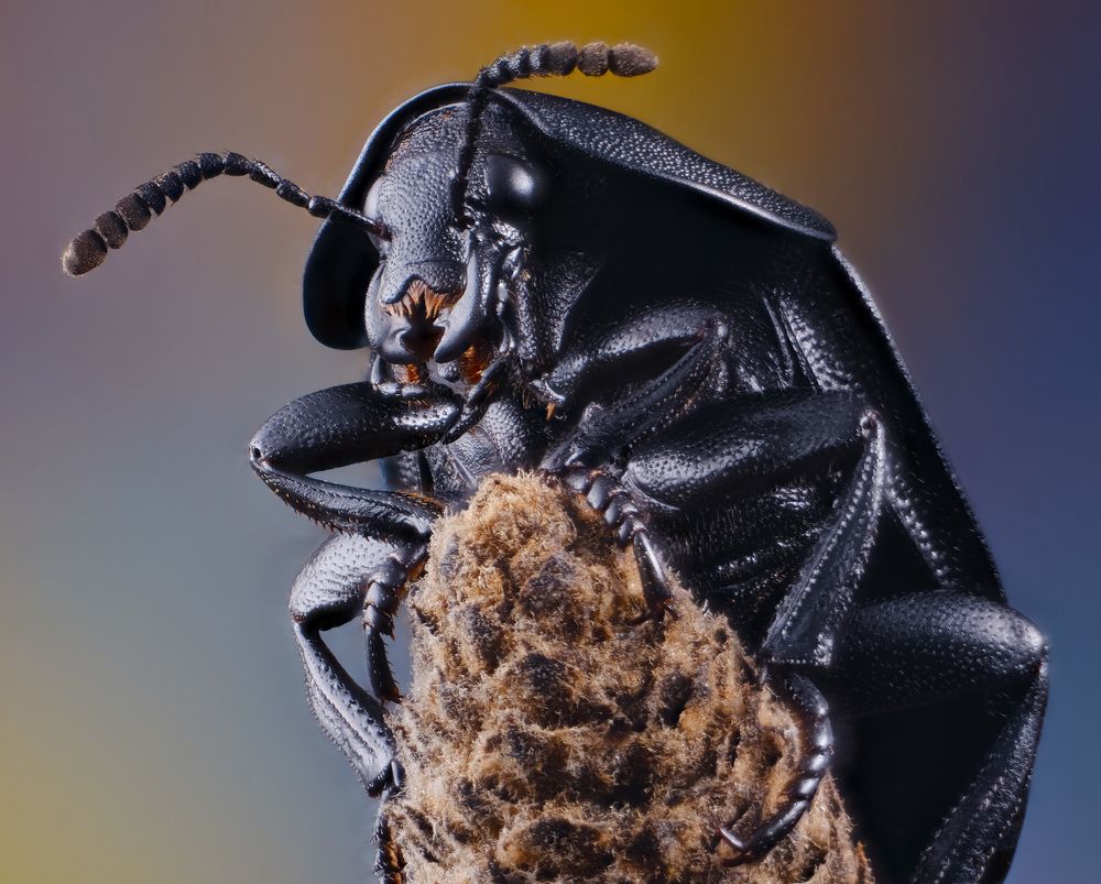 Photograph by Юрьевич Юрий