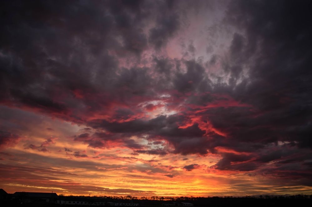 Photograph by Елена Плотникова