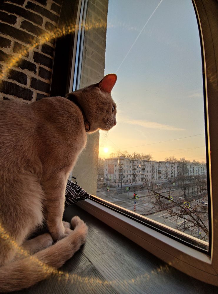 Photograph by Илья Никонов