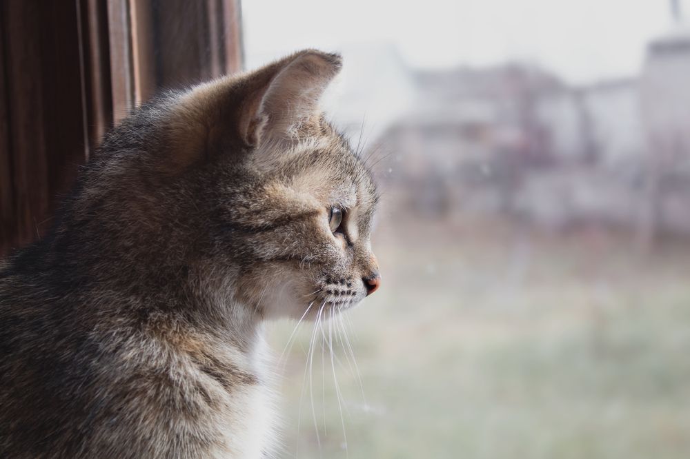 Photograph by Оксана Егорова