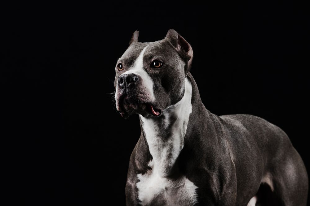 Photograph by Елена Левина