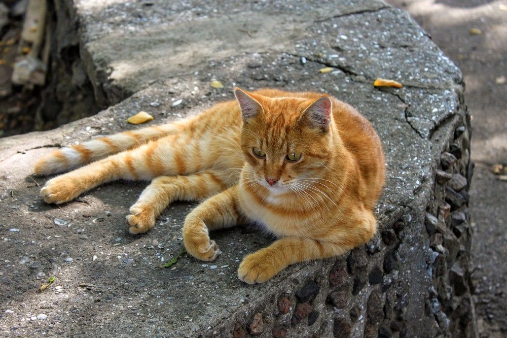 Photograph by Денис Лащ