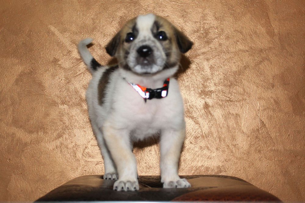 Photograph by GEORGIOS ARMOUTSIDIS