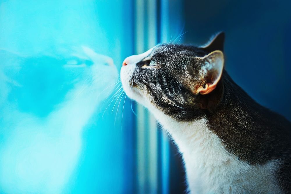 On the other side of winter.