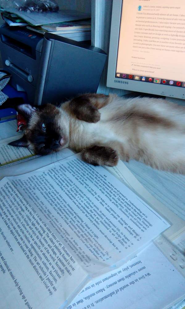 Фотография автора Арина Мясникова