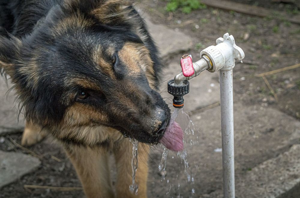 Photograph by Ирина Федорова