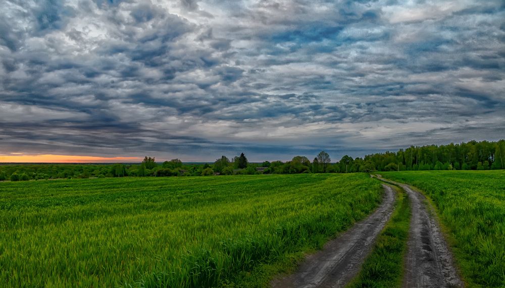 Photograph by Николай Зернов