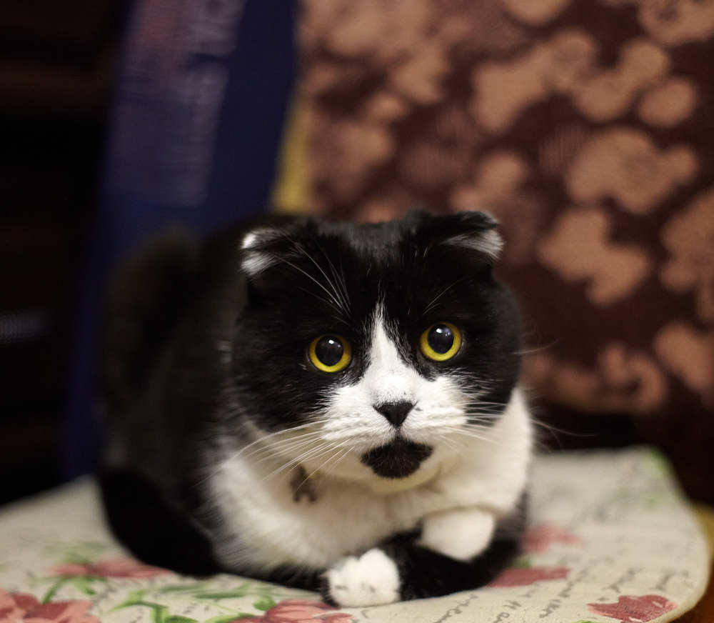 Photograph by Николай Зернов