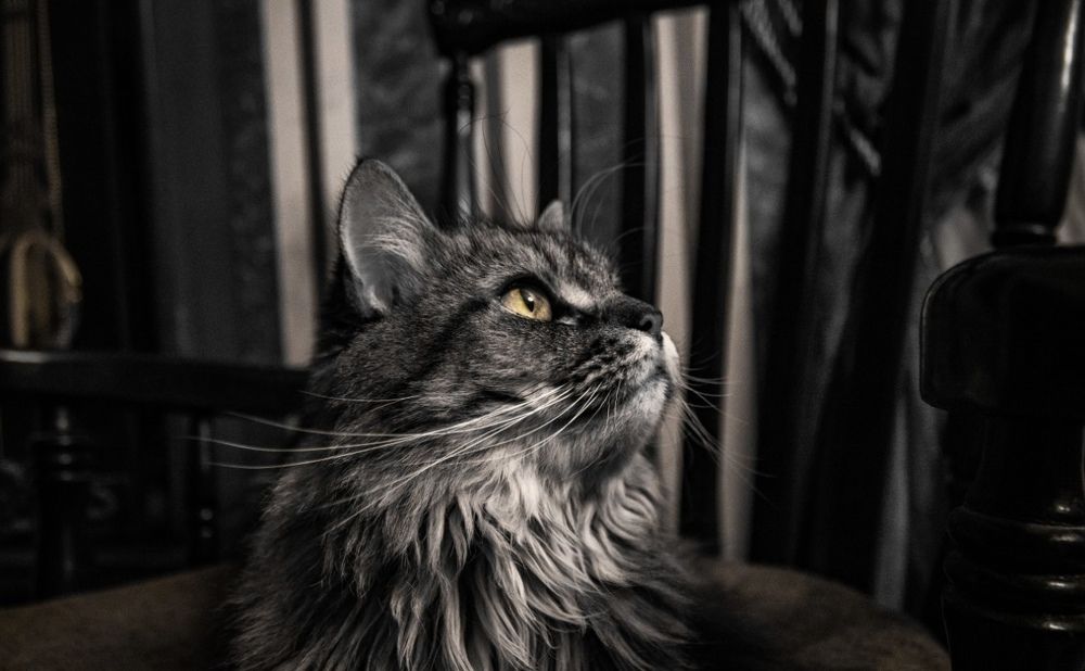 Photograph by Omar Khaled El Sayad