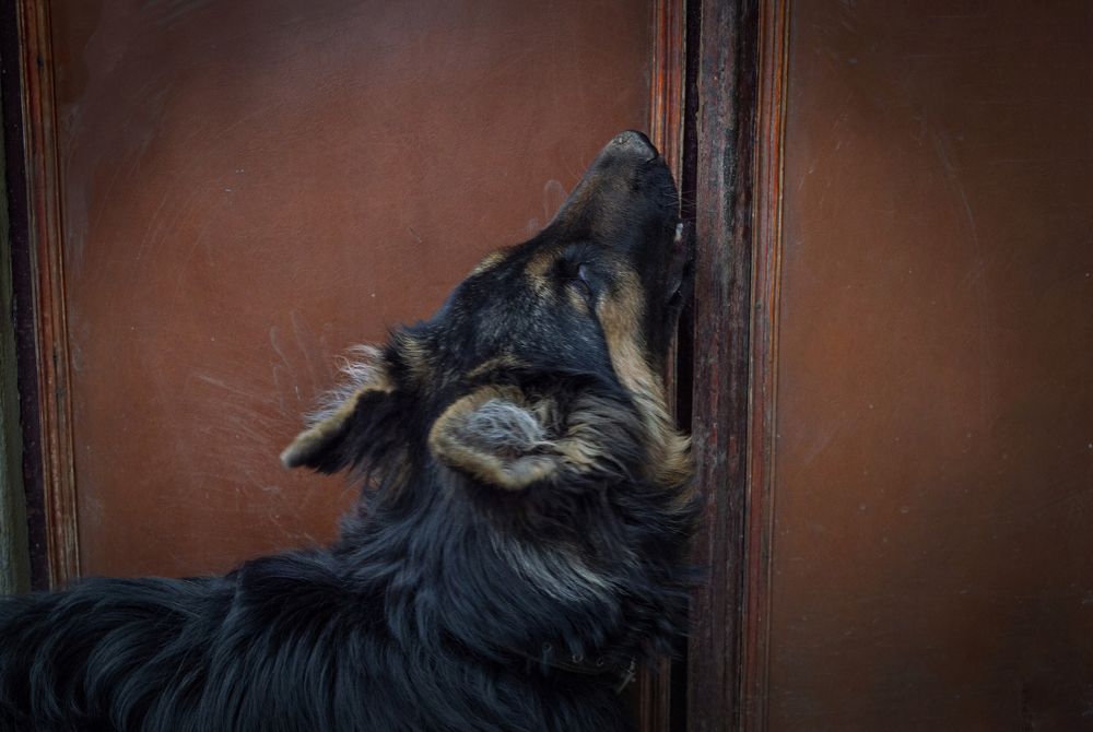 Photograph by Ирина Федорова