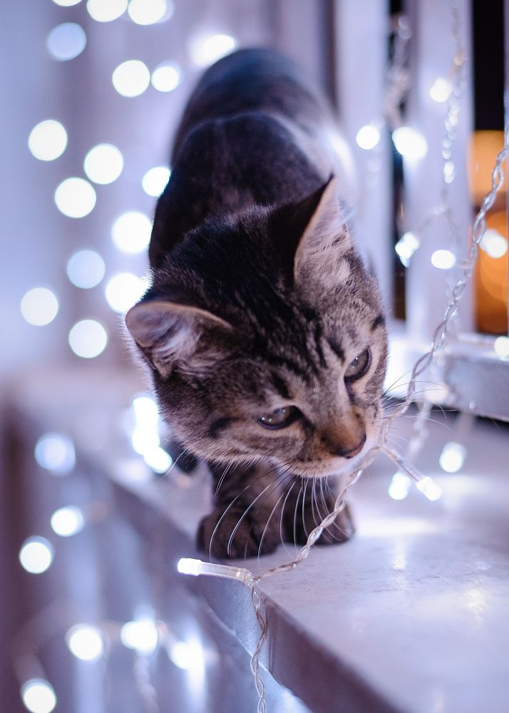 Photograph by Катерина Шагин