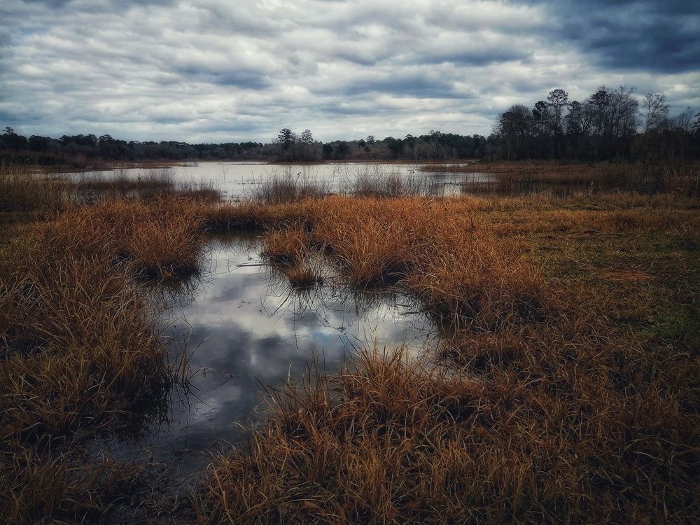 Photograph by Daniel Paredes