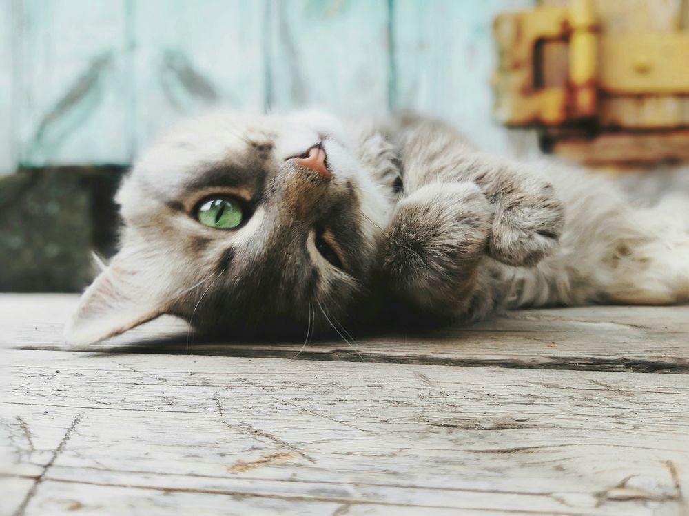 Photograph by Алсу Исмагилова