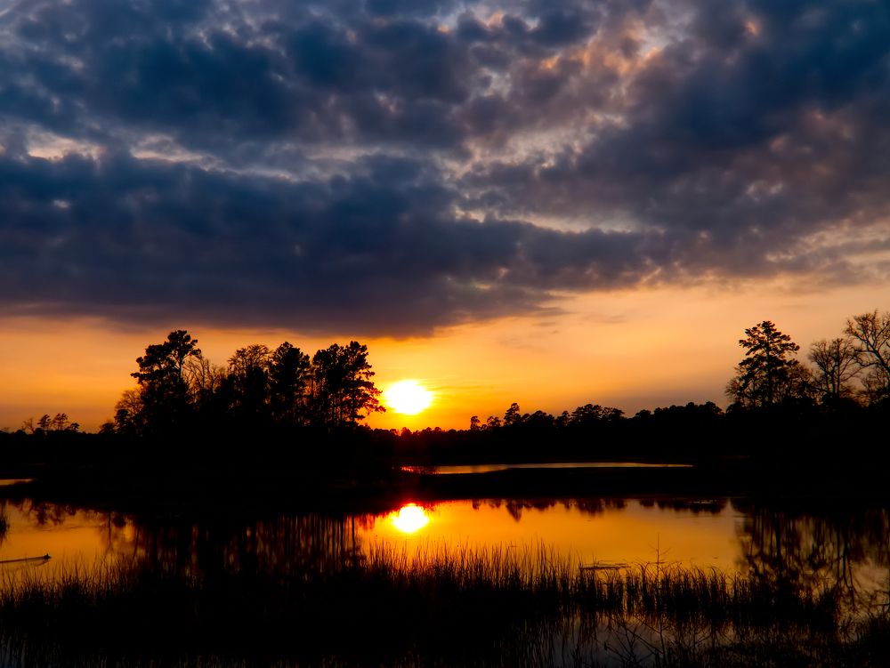 Photograph by Daniel Paredes