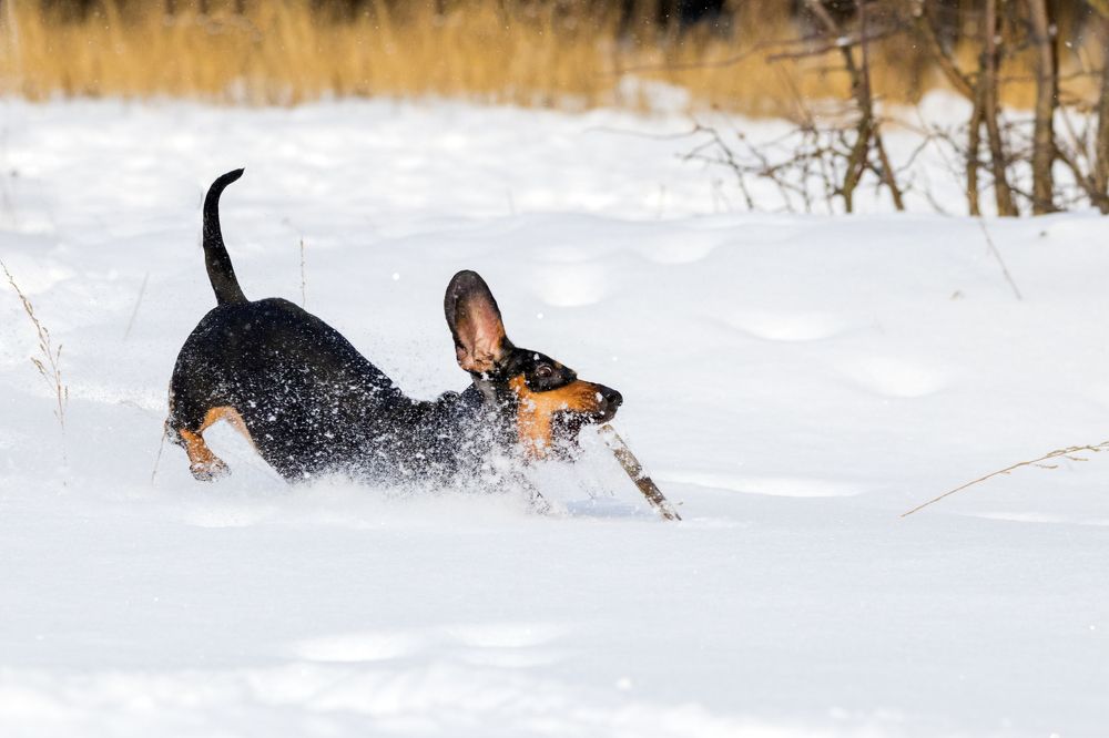Photograph by Дмитрий Тимин
