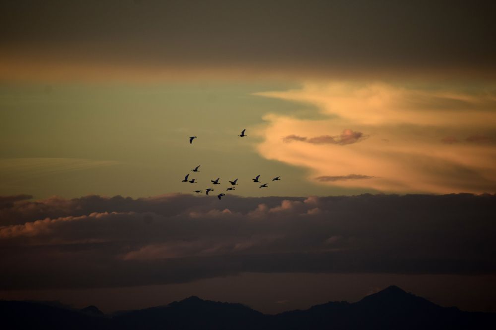 Photograph by sankamithra s