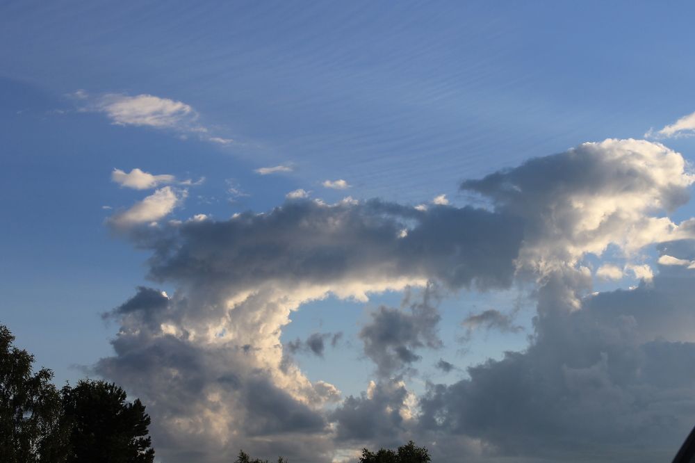 Photograph by Галина Радчук