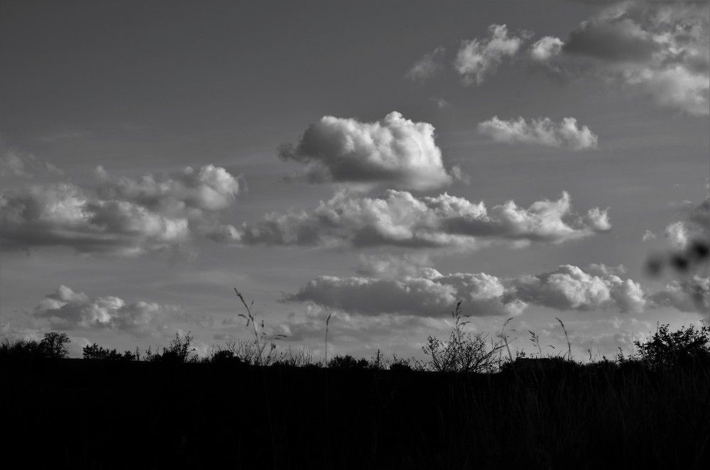 Безмятежность