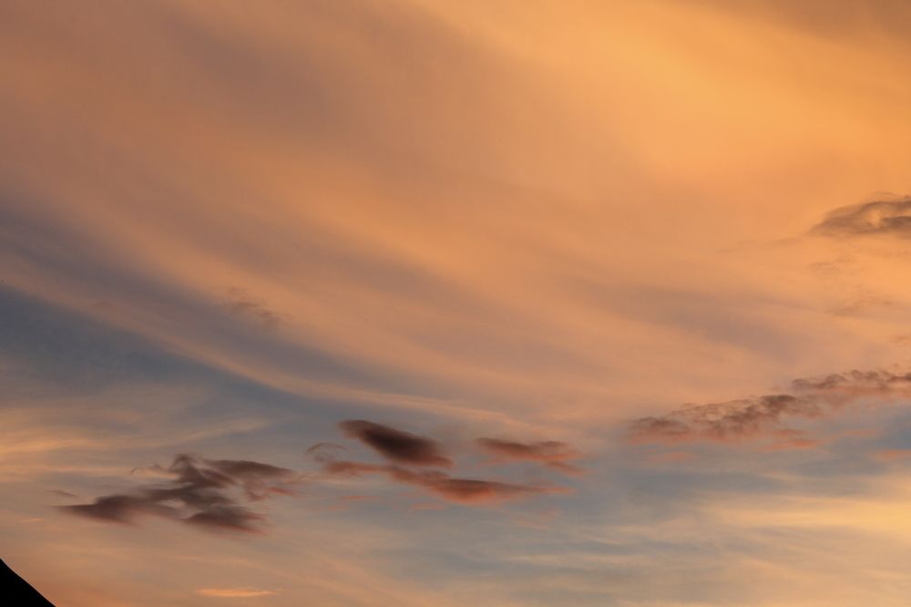 Photograph by Галина Радчук