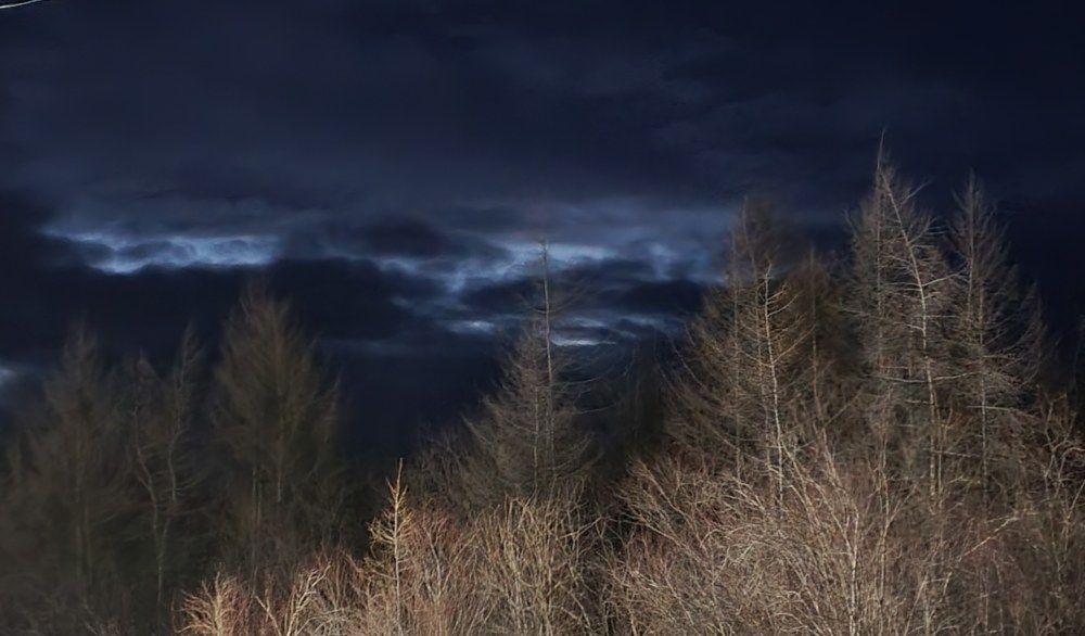 Photograph by Альбина Алексеева - Бугименова