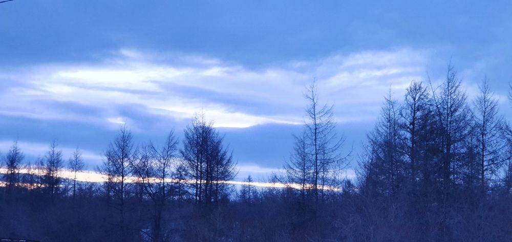 Photograph by Альбина Алексеева - Бугименова