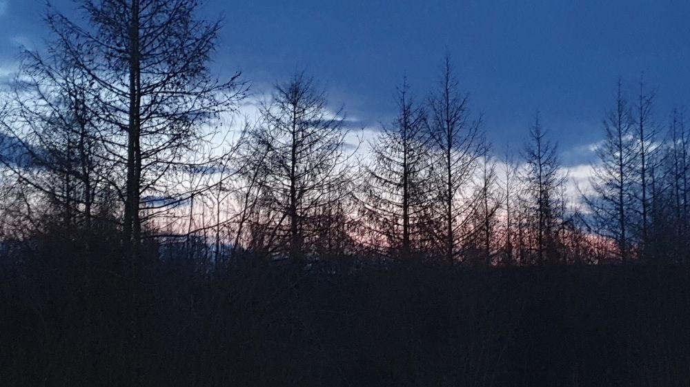 Photograph by Альбина Алексеева - Бугименова