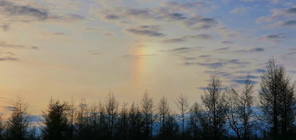 Photograph by Альбина Алексеева - Бугименова