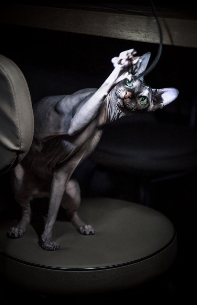 Photograph by Юлия Яровая