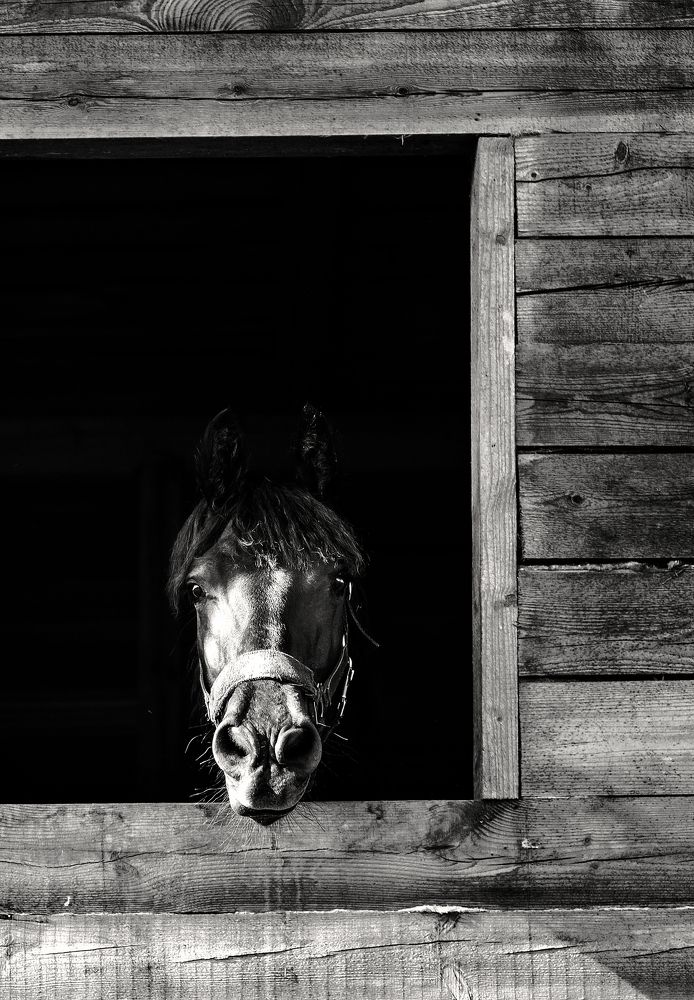 Photograph by Юлия Яровая